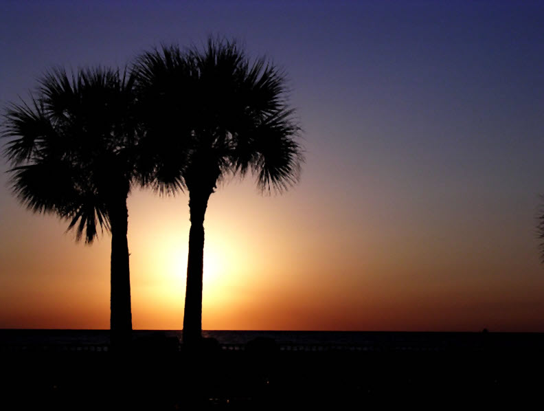 Sunsette Sun Sunset